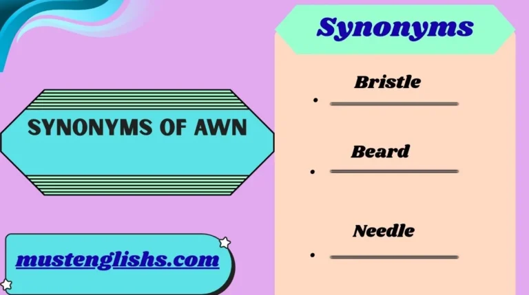 Synonyms of Awn