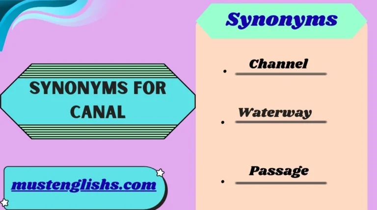 Synonyms for Canal